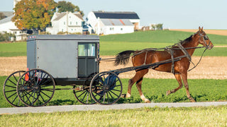 A Neighbor’s View of the Amish