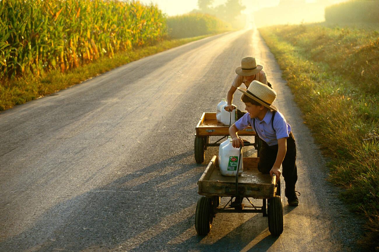 amish adoption