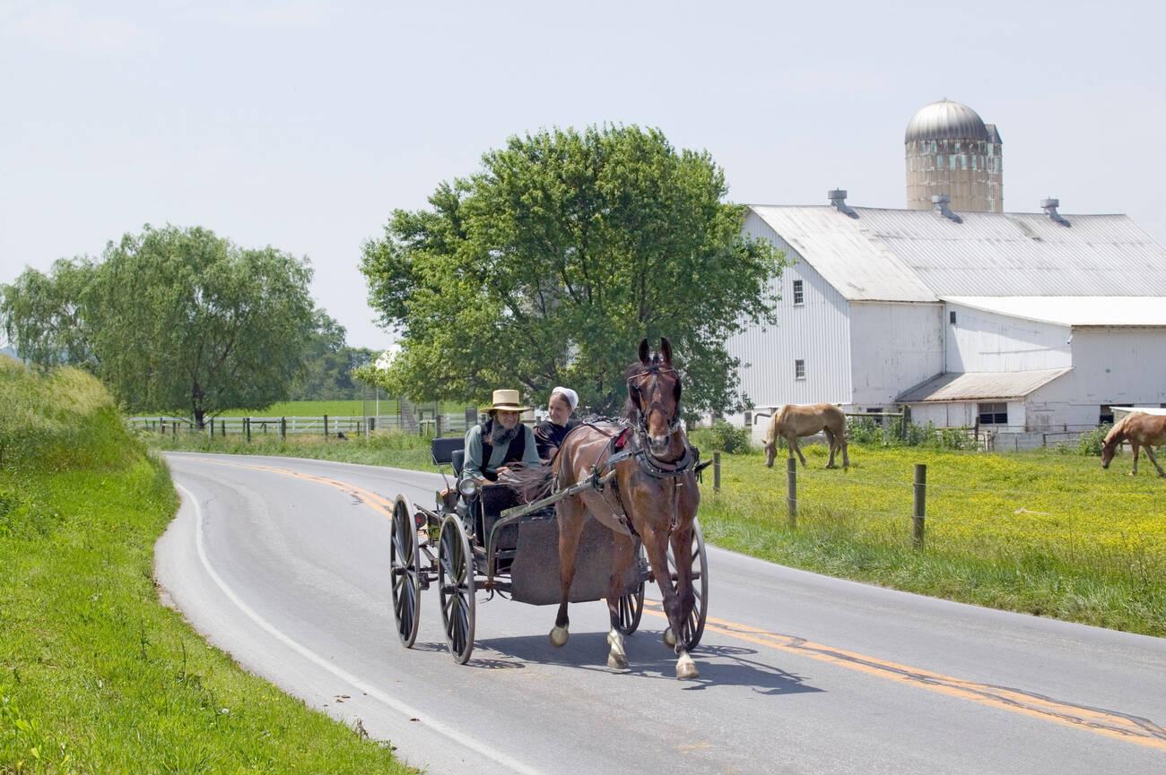 amish courtship