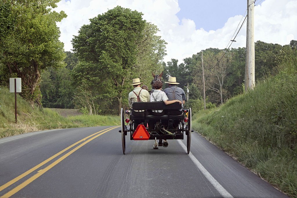 amish hearing loss ingredients