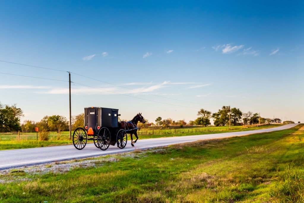 amish vs mennonite buggy