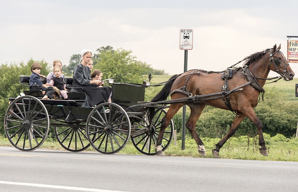 anabaptist vs amish