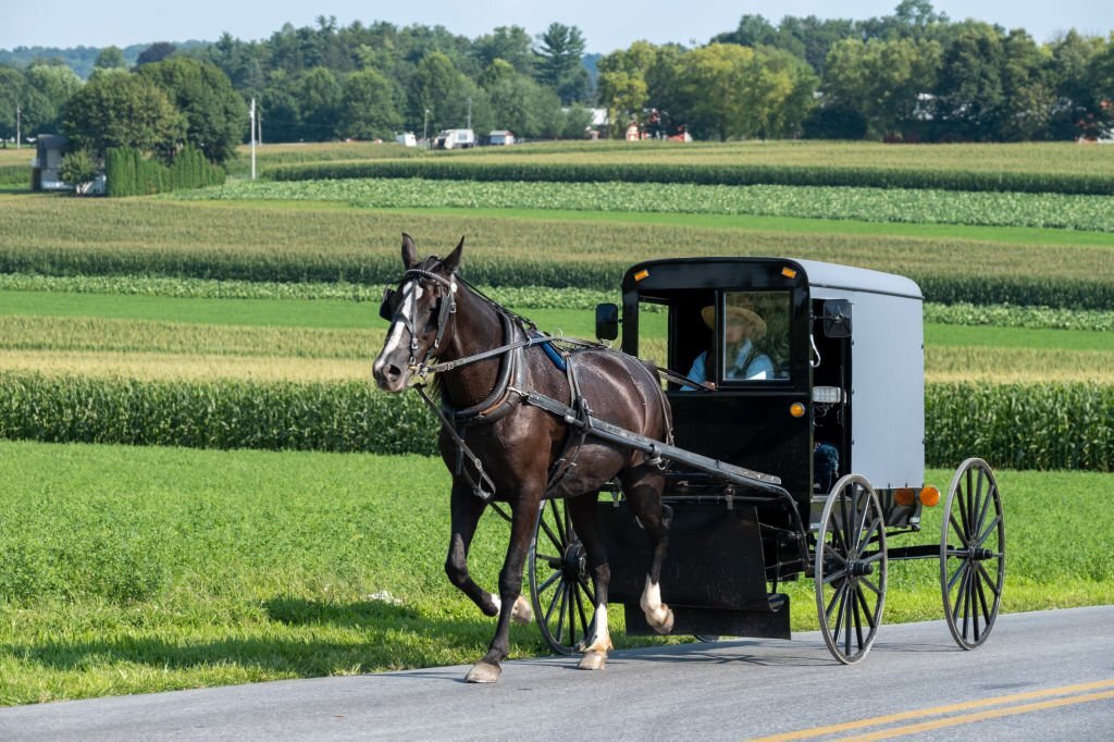 are amish polygamists