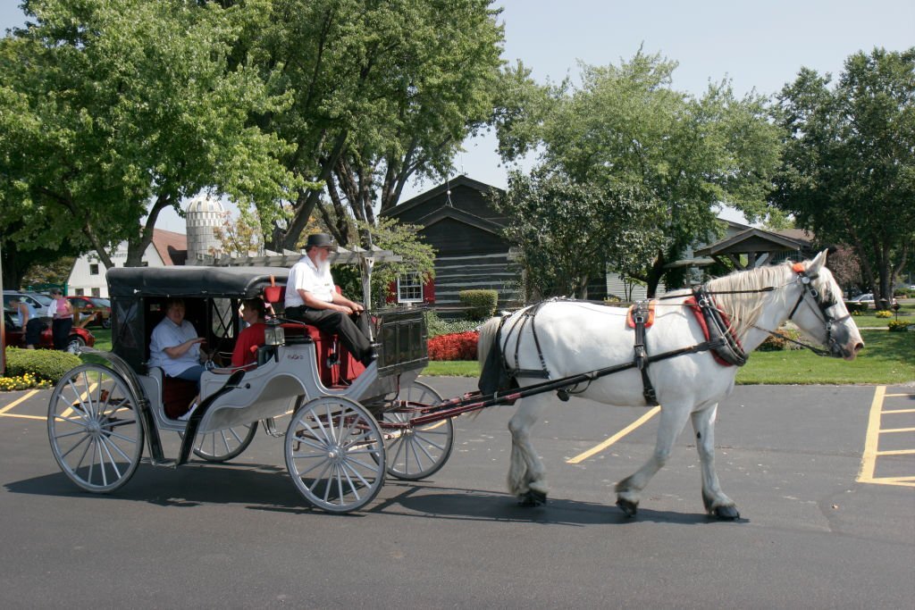 are the amish german
