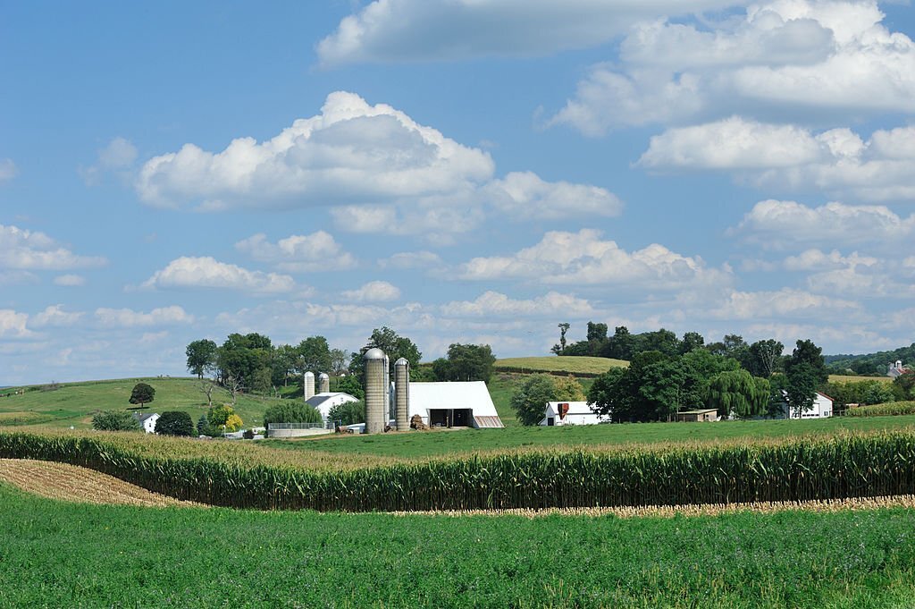 brethren vs amish