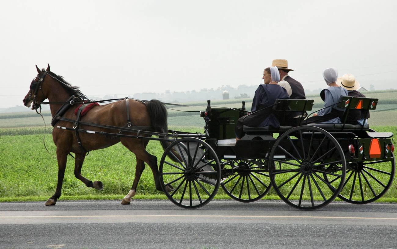 do amish drive cars