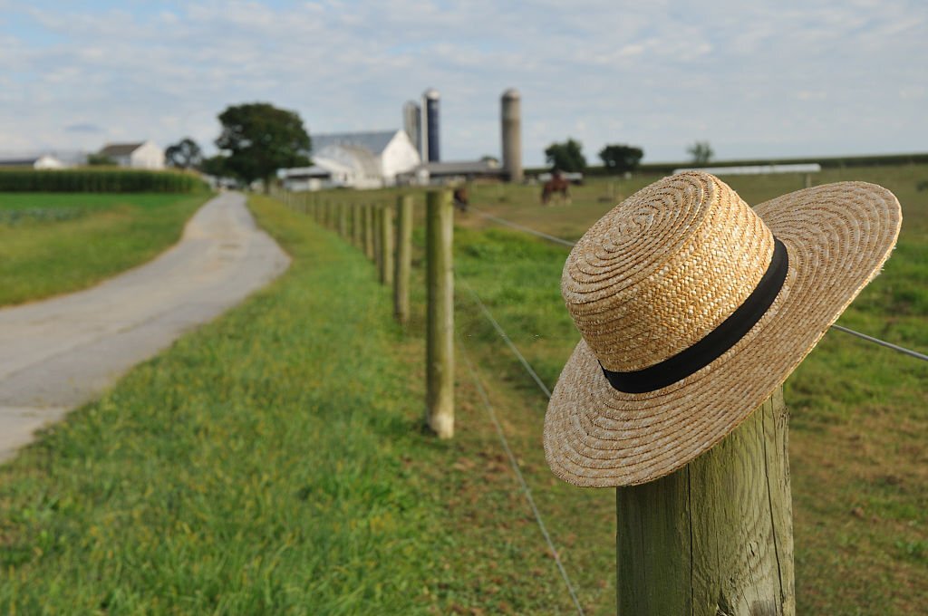 do amish have id