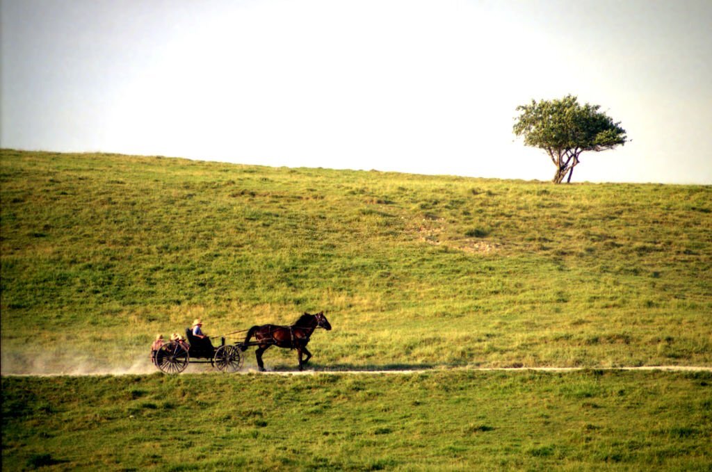do amish hunt