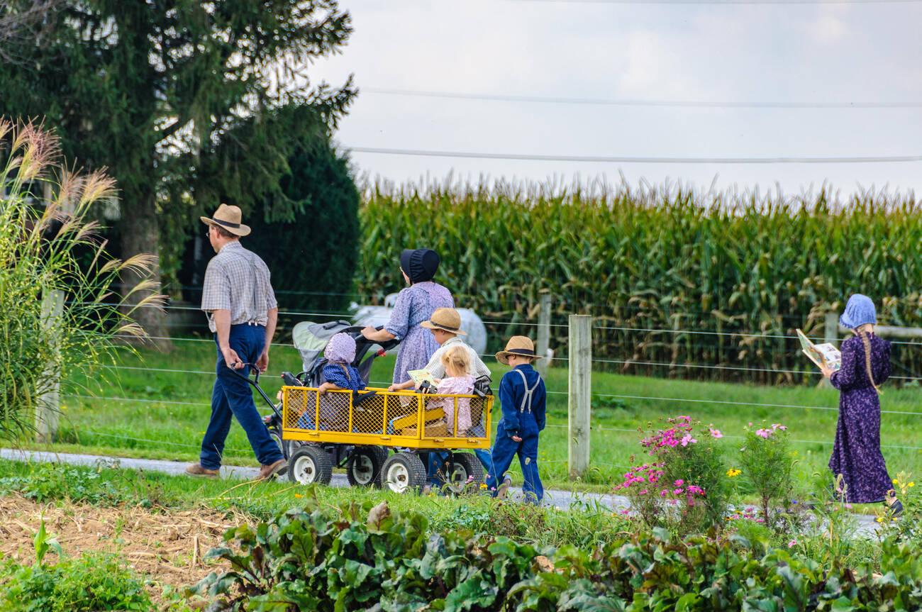 How to Become Amish