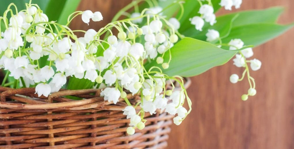 may basket ideas