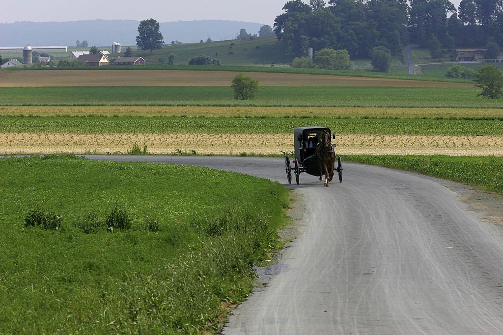 shaker vs amish