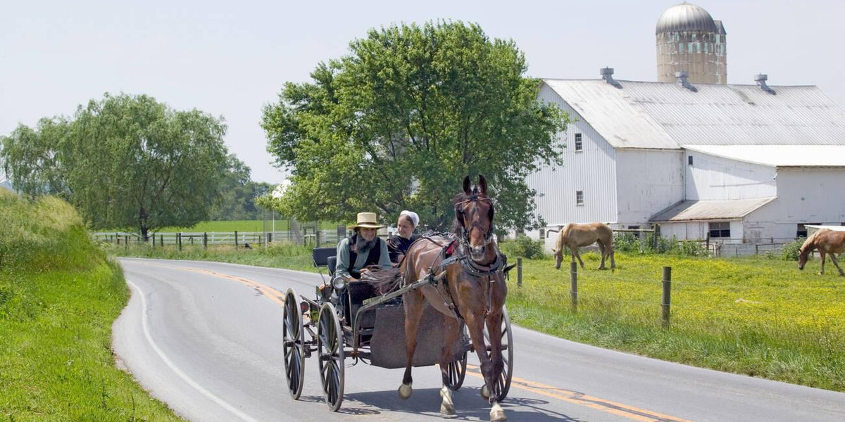 amish dating in the