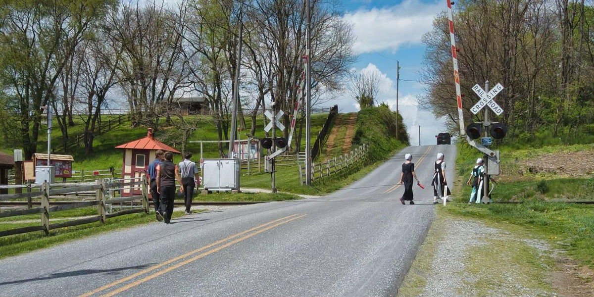 Amish Dating Rules (Everything You Need to Know) — Amish Baskets