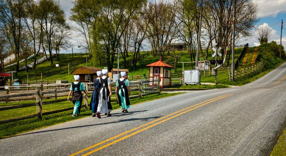 Amish Rules for Women (Rules & Punishments) Amish Baskets