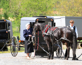are amish rich