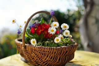 garden basket ideas