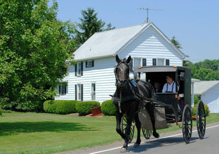 what do the amish believe about black people