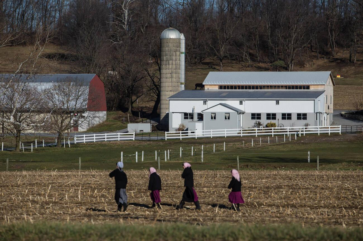What Happens When an Amish Person Leaves the Community? — Amish Baskets