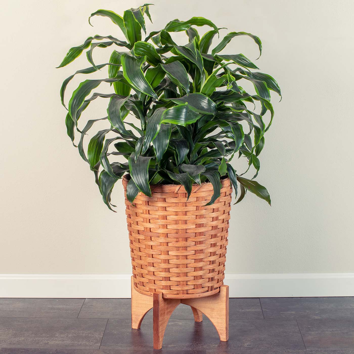 Extra-Large Round Basket Planter | Woven Wicker Plant Pot w/Drainage Plain